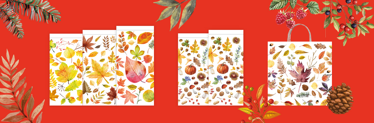 Linea Autumn 2026
