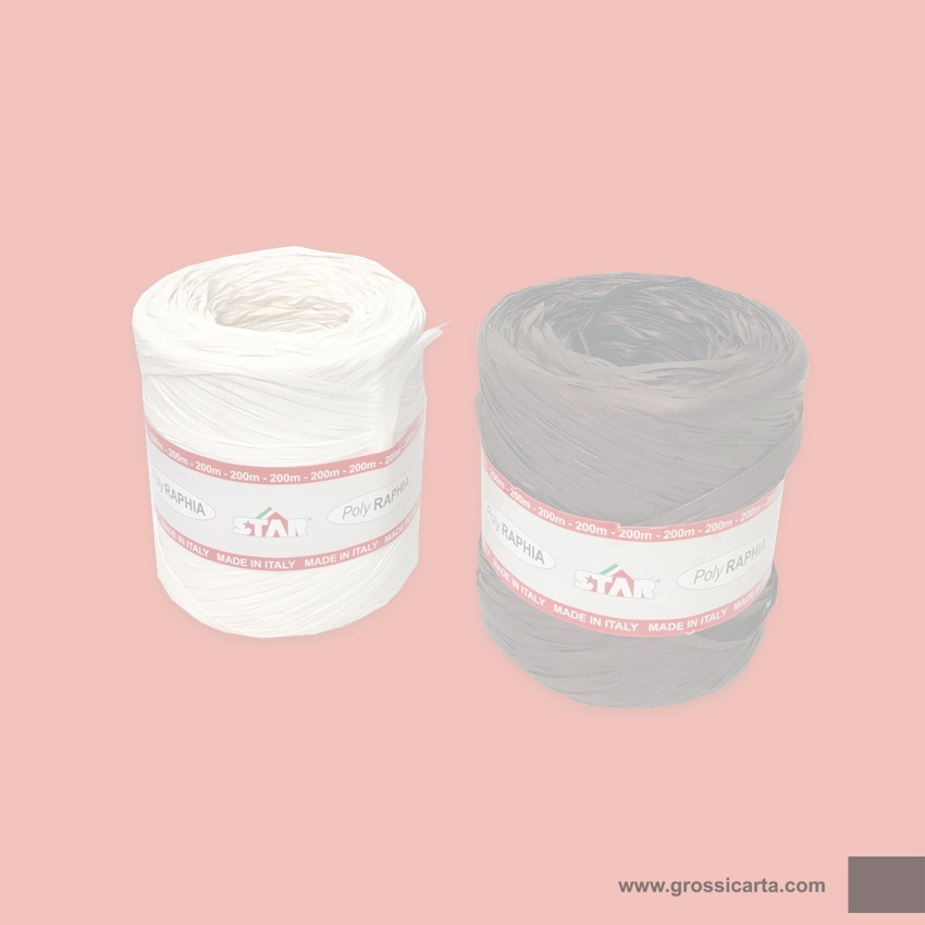 Nastro Polyraphia bianco e marrone - <strong>SOLD OUT</strong>